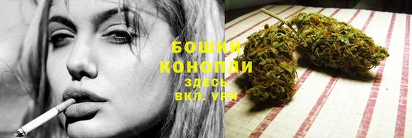 бошки Протвино