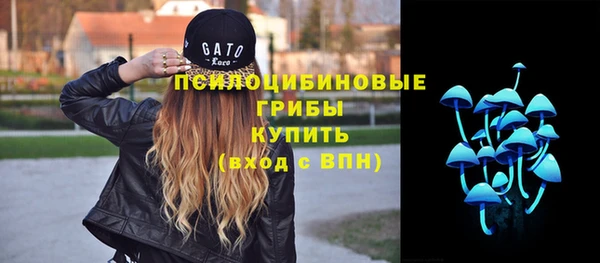 ГАЛЛЮЦИНОГЕННЫЕ ГРИБЫ Приозерск