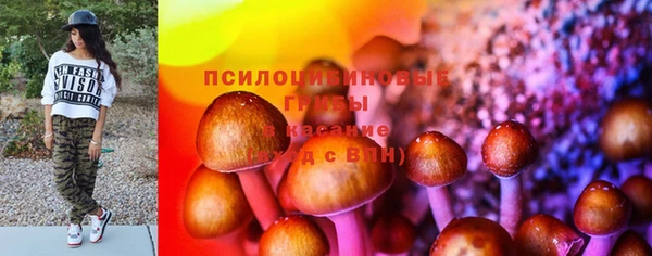 ГАЛЛЮЦИНОГЕННЫЕ ГРИБЫ Приозерск