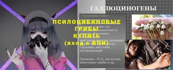 ГАЛЛЮЦИНОГЕННЫЕ ГРИБЫ Приозерск