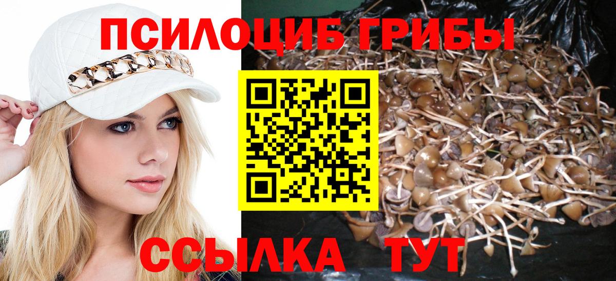 Псилоцибиновые грибы Psilocybine cubensis Волгодонск