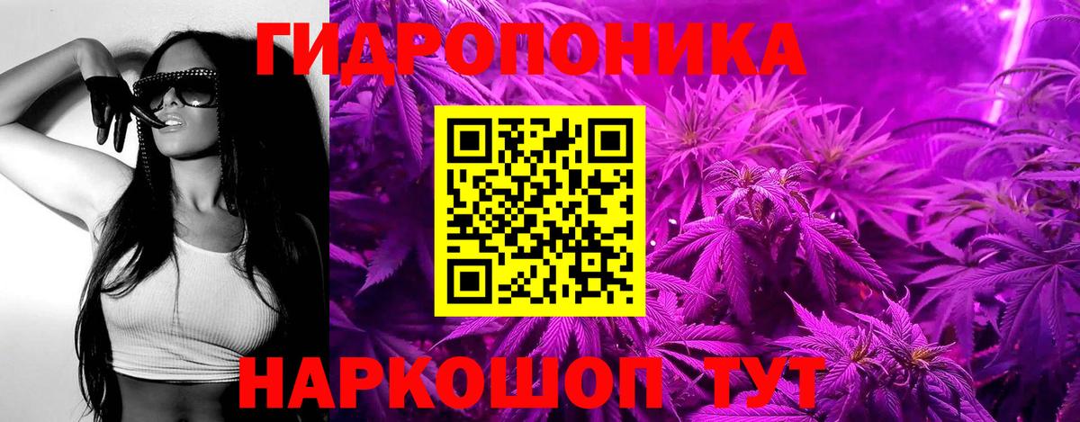 Бошки Шишки SATIVA & INDICA  Бошки марихуана планчик  Каннабис MAZAR  Бошки марихуана THC 21%  Волгодонск 
